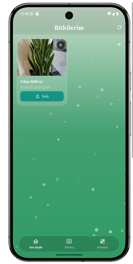 Mobil Uygulama Arayüzü 1