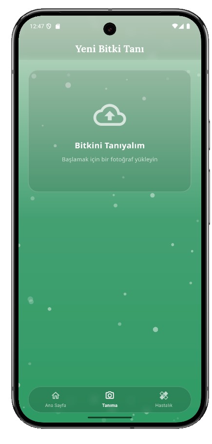 Mobil Uygulama Arayüzü 2