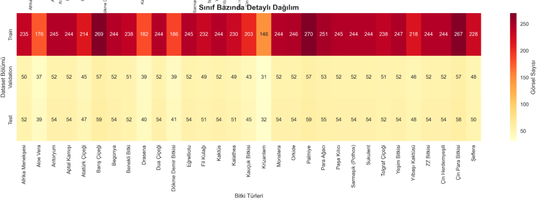 Görüntü İşleme ve Flask Backend 2