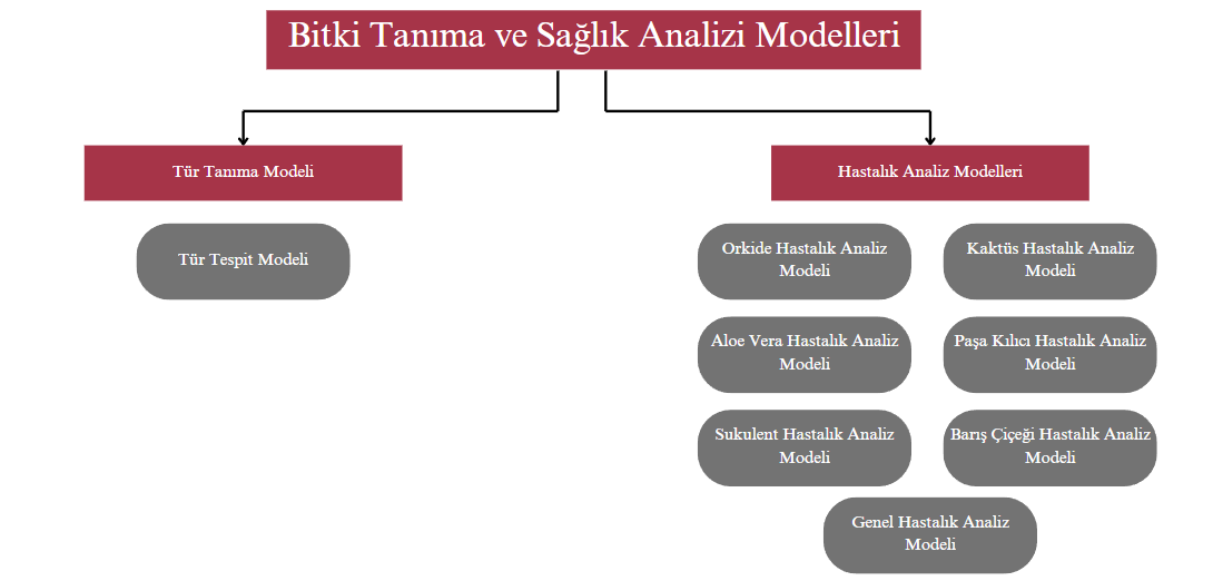 Görüntü İşleme ve Flask Backend Şeması